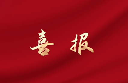 新葡的京集团8814vip光电荣获中国石油与化工自动化行业“科技进步一等奖”